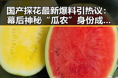 国产探花最新爆料引热议:幕后神秘“瓜农”身份成焦点