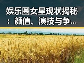 娱乐圈女星现状揭秘：颜值、演技与争议交织的背后