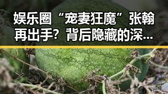娱乐圈“宠妻狂魔”张翰再出手？背后隐藏的深意令人深思